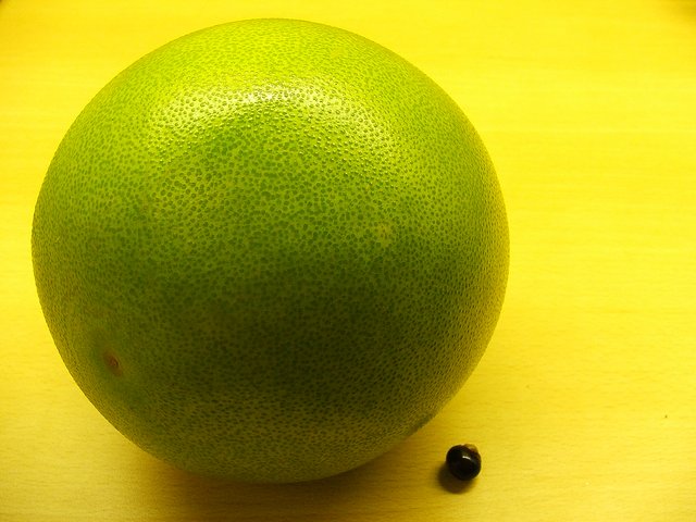 ovoce